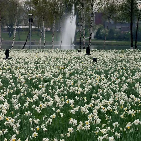 شقة Druskininku Pasaga *