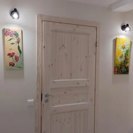 Druskininku Pasaga شقة *