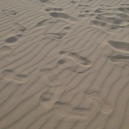 Druskininku Pasaga شقة *