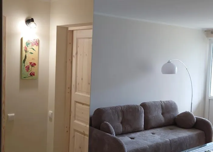 Druskininku Pasaga Apartment