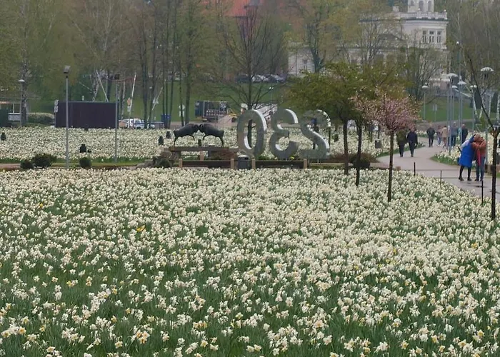 Druskininku Pasaga *