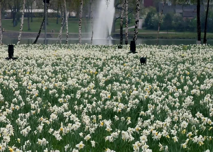 Lägenhet Druskininku Pasaga *