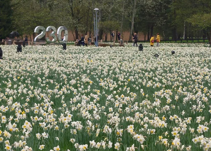 Apartment Druskininku Pasaga *