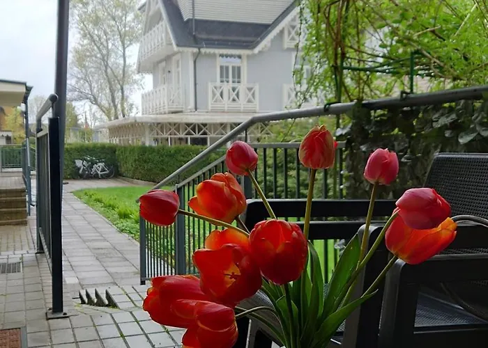 Druskininku Pasaga Apartment *