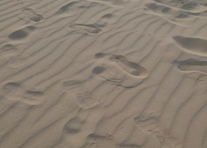 Druskininku Pasaga Lägenhet *